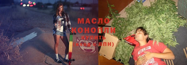сатива Заводоуковск