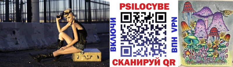 Псилоцибиновые грибы Psilocybe  Томилино 